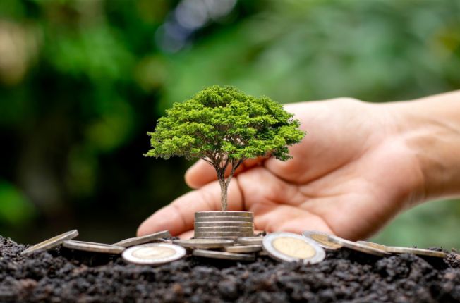 Fazenda debate novos modelos de financiamento para desenvolvimento sustentável